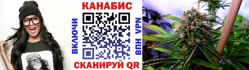 Канабис сатива  где можно купить   Старица 
